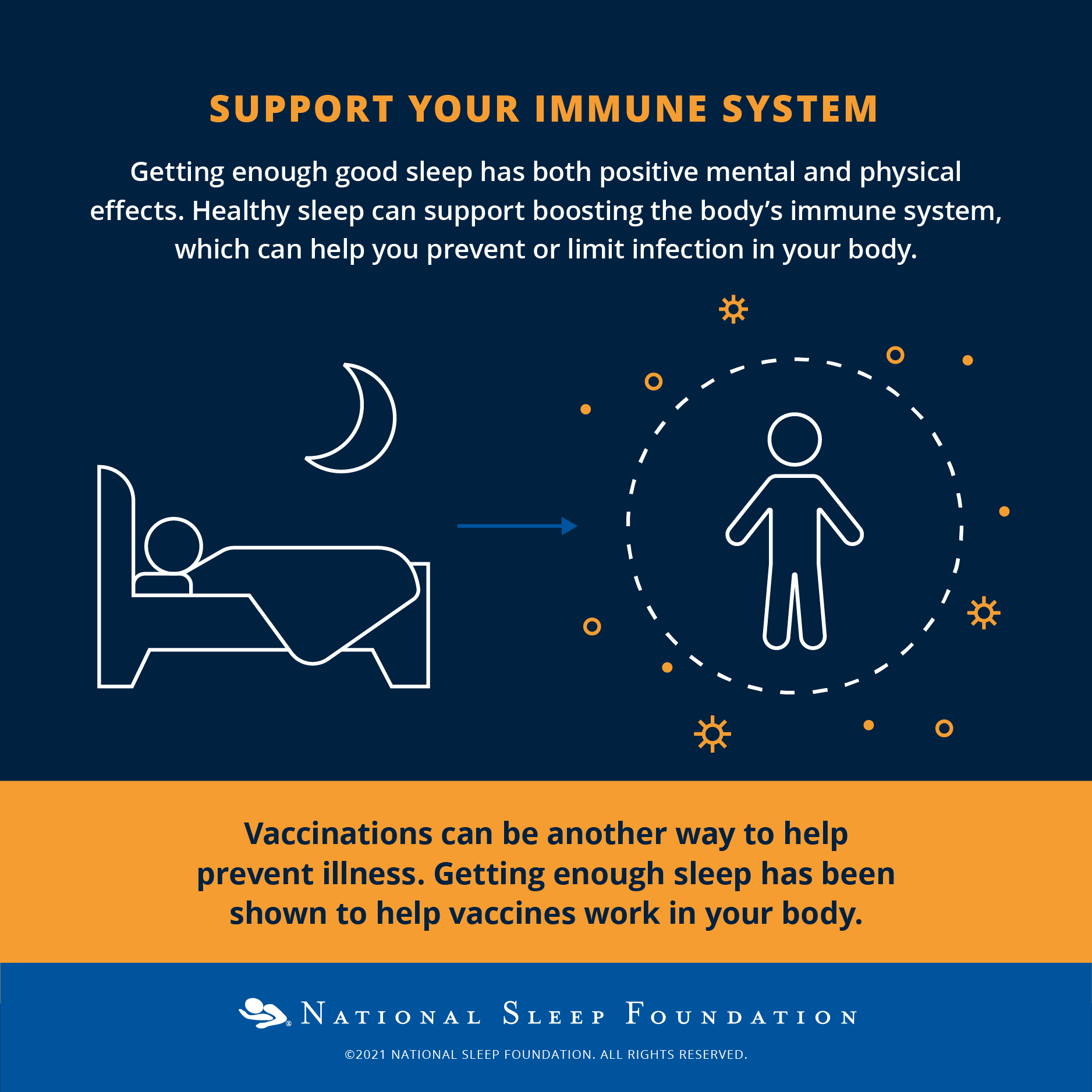 Proper sleep can support your immune system